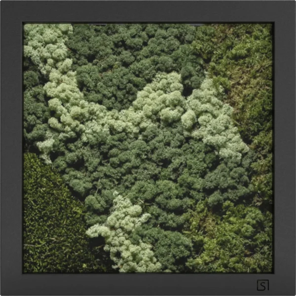 Mos Schilderijen - Afbeelding 2